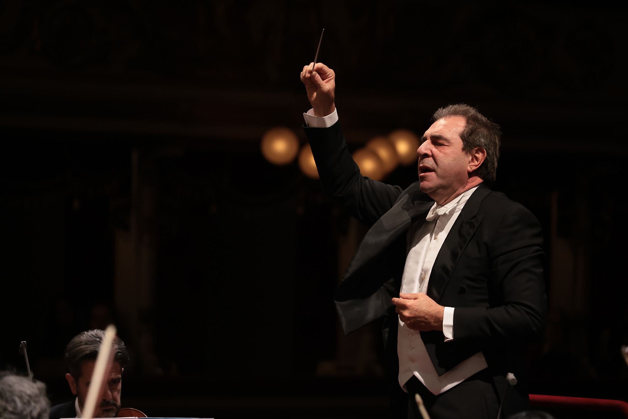 Gatti ph Brescia e Amisano © Teatro alla Scala